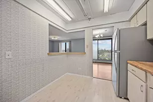 9118 W Elmwood Dr, Niles, IL 60714 - Photo 17