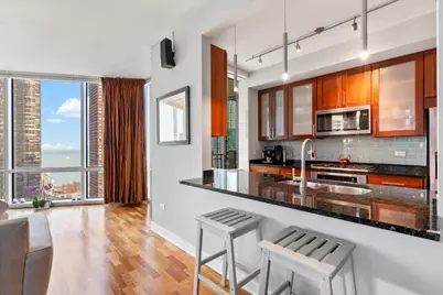 505 N McClurg Court #3102, Chicago, IL 60611 - Photo 9