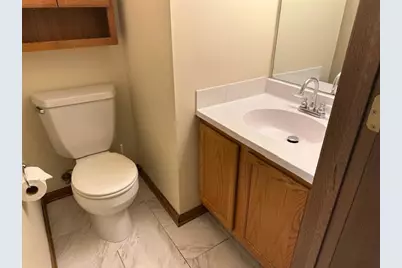 1217 Regent Drive, Mundelein, IL 60060 - Photo 15