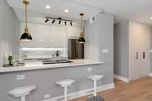 1355 N Sandburg Terrace, Chicago, IL 60610 - Photo 3