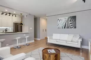 1355 N Sandburg Terrace, Chicago, IL 60610 - Photo 7