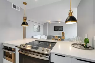 1355 N Sandburg Terrace, Chicago, IL 60610 - Photo 13