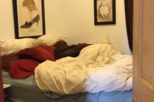 3448 W Drummond Pl, Chicago, IL 60647 - Photo 29