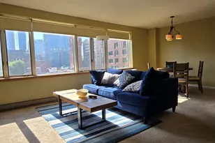 801 S Plymouth Ct, Chicago, IL 60605 - Photo 3