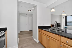 1160 S Michigan Ave, Chicago, IL 60605 - Photo 11