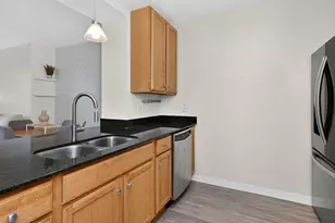 1160 S Michigan Ave, Chicago, IL 60605 - Photo 9