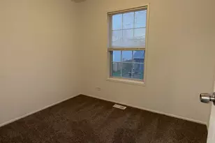 252 Yellow Pine Dr, Bolingbrook, IL 60440 - Photo 13