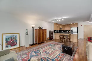 9725 Woods Dr, Skokie, IL 60077 - Photo 9