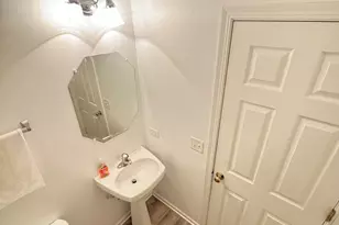 24041 W Walnut Circle, Plainfield, IL 60585 - Photo 11