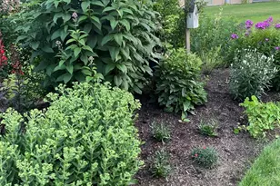 10842 Timer Dr, Huntley, IL 60142 - Photo 29