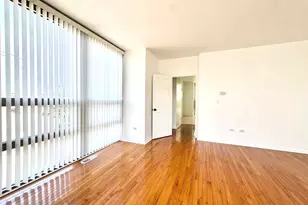 2237 S Stewart Ave, Chicago, IL 60616 - Photo 17