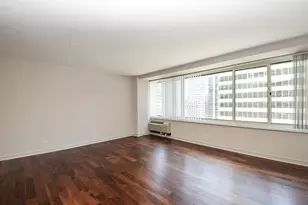 211 E Ohio St, Chicago, IL 60611 - Photo 5