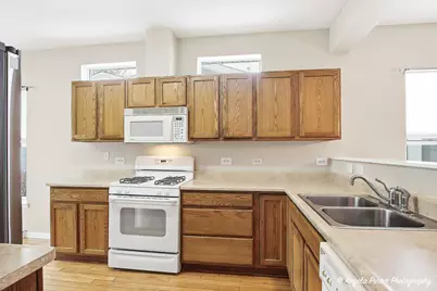 54 Rocking Horse Lane, Grayslake, IL 60030 - Photo 11