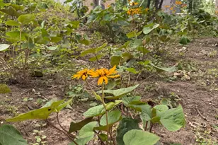 306 Woodlock St, Ingleside, IL 60041 - Photo 73