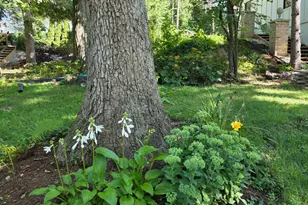 306 Woodlock St, Ingleside, IL 60041 - Photo 67