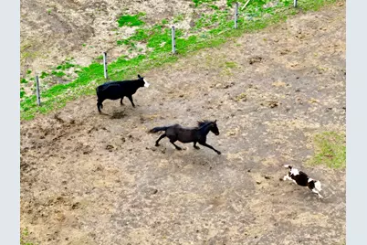 335 N 9250E Road, Momence, IL 60954 - Photo 39