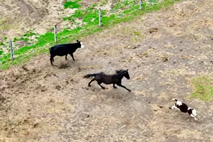 335 N 9250E Rd, Momence, IL 60954 - Photo 39