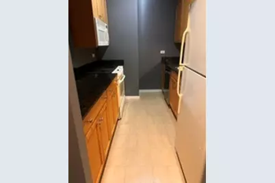 400 N Lasalle Boulevard #1603, Chicago, IL 60654 - Photo 3