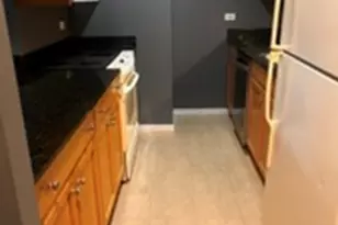 400 N Lasalle Blvd, Chicago, IL 60654 - Photo 3