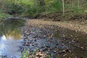 1935 Deerfield Rd, Princeton, IL 61356 - Photo 35