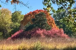 1935 Deerfield Rd, Princeton, IL 61356 - Photo 37