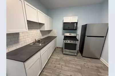411 N Hamlin Avenue #2, Chicago, IL 60624 - Photo 11