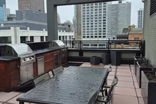 247 E Chestnut St, Chicago, IL 60611 - Photo 3