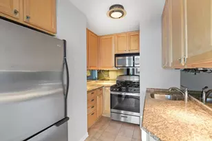 247 E Chestnut St, Chicago, IL 60611 - Photo 9