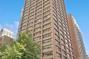 247 E Chestnut St, Chicago, IL 60611 - Photo 1