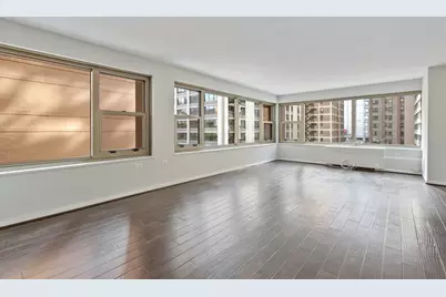 247 E Chestnut Street #1204, Chicago, IL 60611 - Photo 11