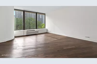 505 N Lake Shore Drive #501, Chicago, IL 60611 - Photo 11
