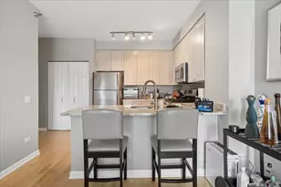 330 N Jefferson St, Chicago, IL 60661 - Photo 7