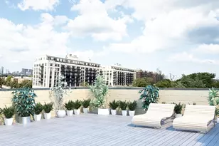 1003 W 16th St, Chicago, IL 60608 - Photo 9