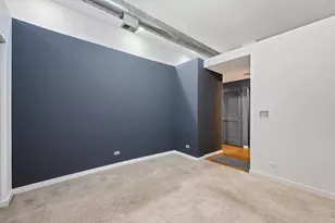 1844 S Michigan Ave, Chicago, IL 60616 - Photo 9