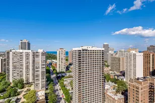 1360 N Sandburg Terrace, Chicago, IL 60610 - Photo 29