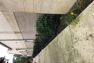 7042 S Princeton St, Chicago, IL 60621 - Photo 5