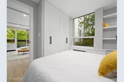 1455 N Sandburg Terrace #209B, Chicago, IL 60610 - Photo 17