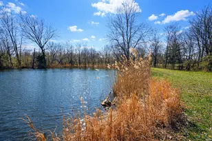 2041 Mills Cart Rd, Salem, IL 62881 - Photo 3