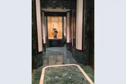 195 N Harbor Drive #207, Chicago, IL 60601 - Photo 13