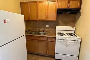 8542 S Lowe Ave, Chicago, IL 60620 - Photo 17