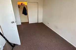 8542 S Lowe Ave, Chicago, IL 60620 - Photo 19