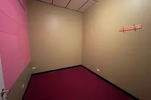 433 Ogden Ave, Downers Grove, IL 60515 - Photo 9