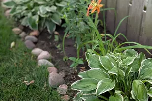 2103 Windcrest Ln, Joliet, IL 60431 - Photo 31