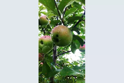 2103 Windcrest Lane, Joliet, IL 60431 - Photo 27