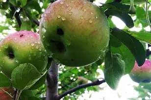 2103 Windcrest Ln, Joliet, IL 60431 - Photo 27