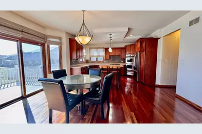 21249 Sophia Drive, Matteson, IL 60443 - Photo 13