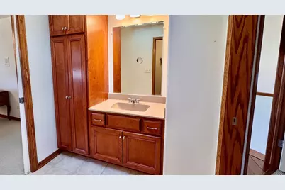 21249 Sophia Drive, Matteson, IL 60443 - Photo 39