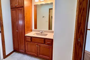 21249 Sophia Dr, Matteson, IL 60443 - Photo 39