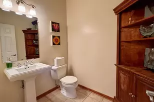 21249 Sophia Dr, Matteson, IL 60443 - Photo 19