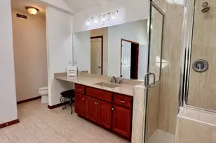 21249 Sophia Dr, Matteson, IL 60443 - Photo 29